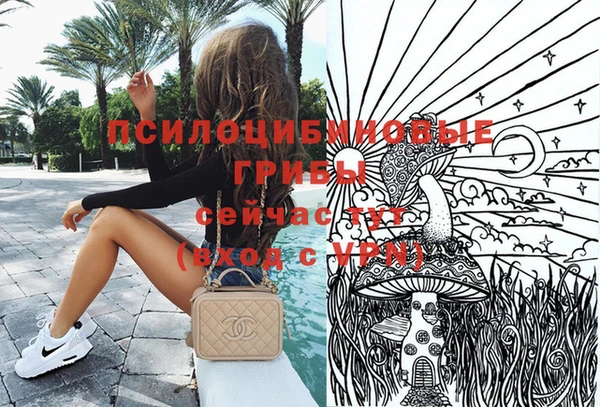 spice Алексеевка