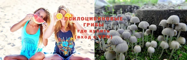 spice Алексеевка