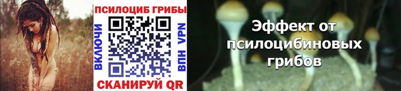 Псилоцибиновые грибы Magic Shrooms  где продают наркотики  Мамоново 